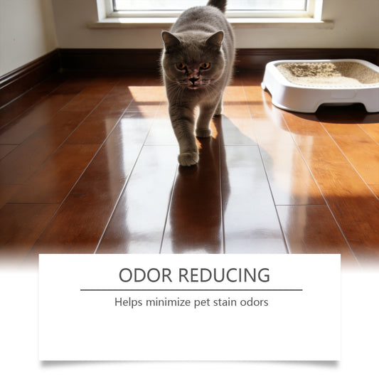 Pet Stain Cleaner and Odor Eliminator