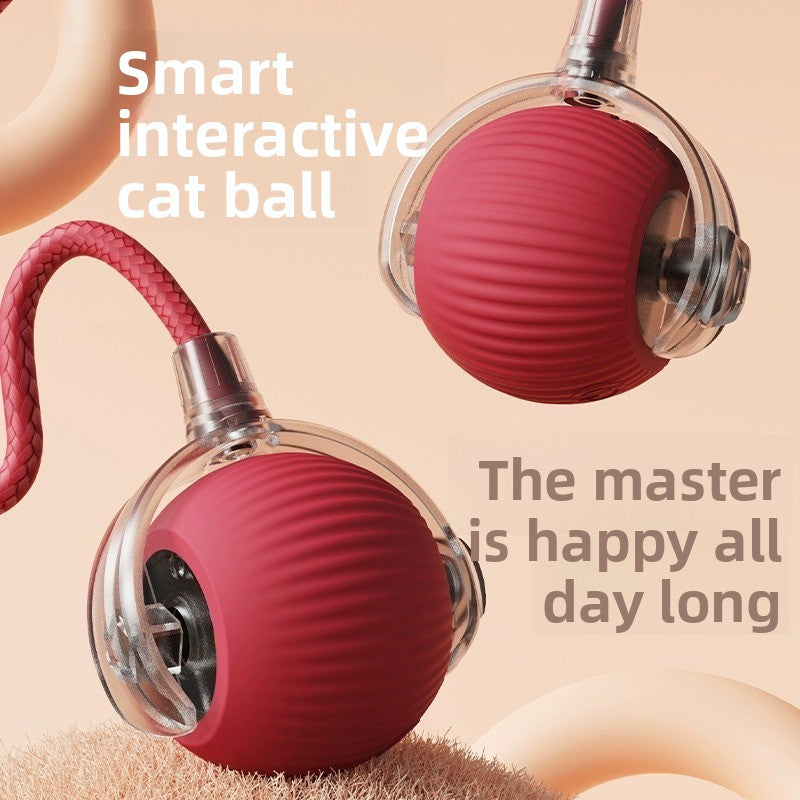 Automatic Rolling Cat Toy with Sound