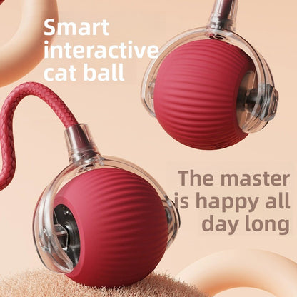 Automatic Rolling Cat Toy with Sound