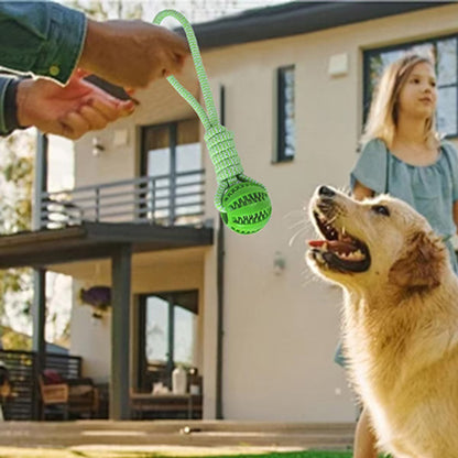 Pet Chew Toy with Rope and Treat Dispenser