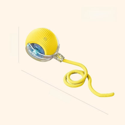 Automatic Rolling Cat Toy with Sound