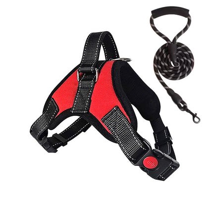 Dog Leash Harness