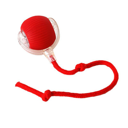 Automatic Rolling Cat Toy with Sound