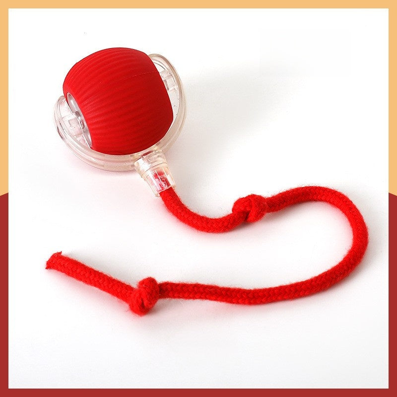 Automatic Rolling Cat Toy with Sound