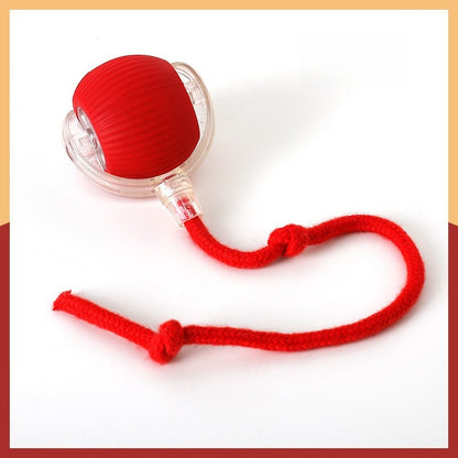 Automatic Rolling Cat Toy with Sound