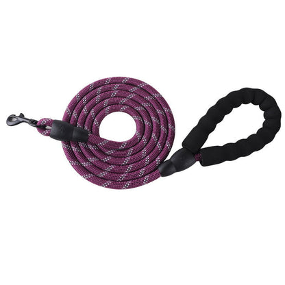 Pet reflective leash