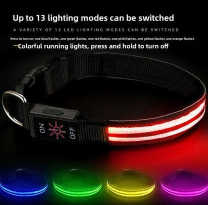 USB Rechargeable Waterproof LED Dog Collar with Dual Light Modes