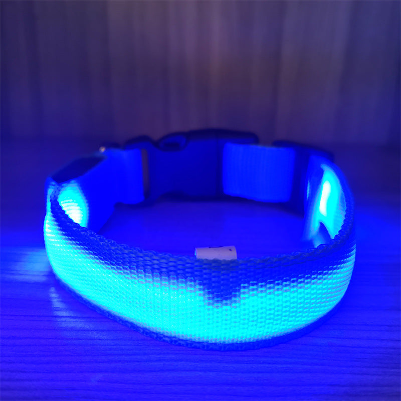 Cozy Critters Pet Store USB rechargeable luminous pet collar