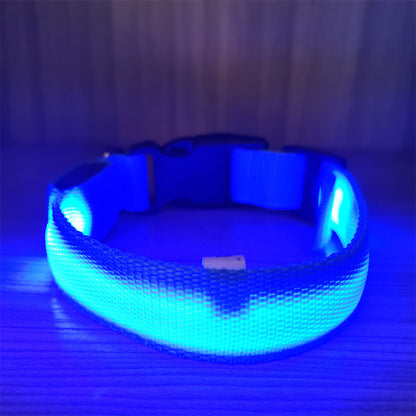 Cozy Critters Pet Store USB rechargeable luminous pet collar