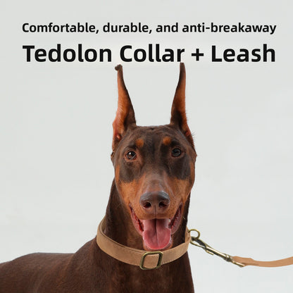 Retro Leather Dog Collar & Leash Set
