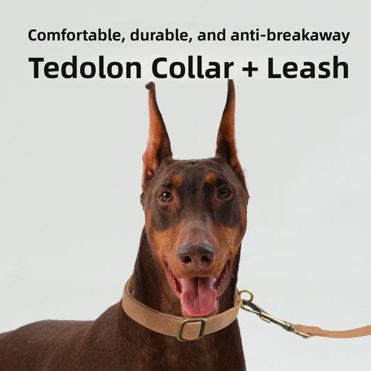 Retro Leather Dog Collar & Leash Set