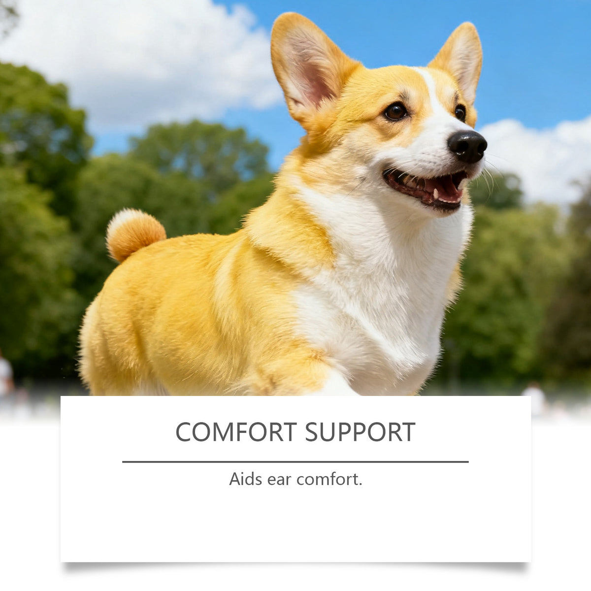 Dog Ear Cleaning Drops for Daily Ear Care