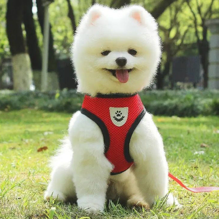 Dog Leash Harness Set
