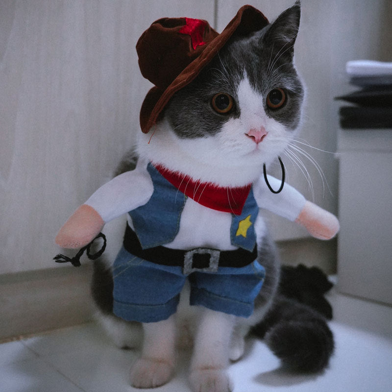 Pet Costume 3D Transformation Outfit