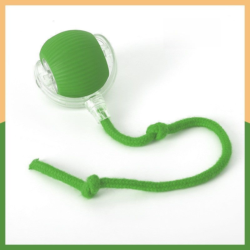 Automatic Rolling Cat Toy with Sound