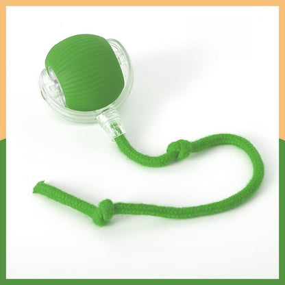 Automatic Rolling Cat Toy with Sound