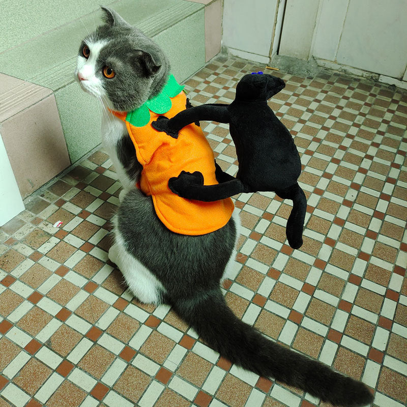 Pet Costume 3D Transformation Outfit