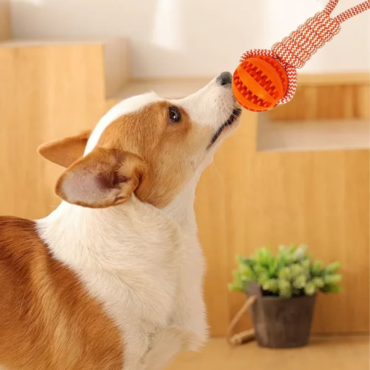 Pet Chew Toy with Rope and Treat Dispenser