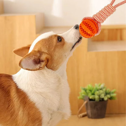 Pet Chew Toy with Rope and Treat Dispenser