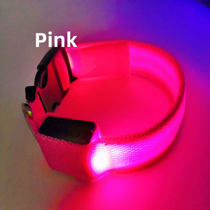USB Rechargeable Luminous Pet Collar