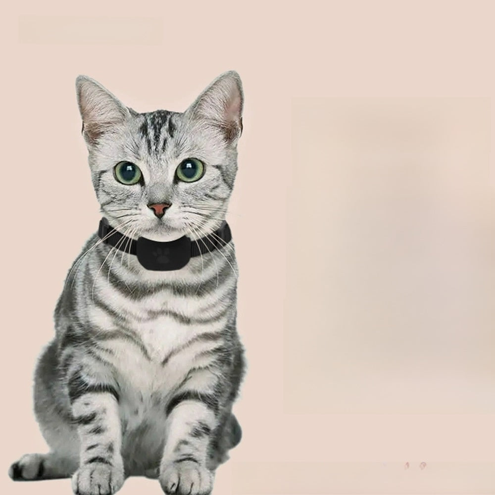 MFi Certified Bluetooth Location Tracker for Pets and Personal Items