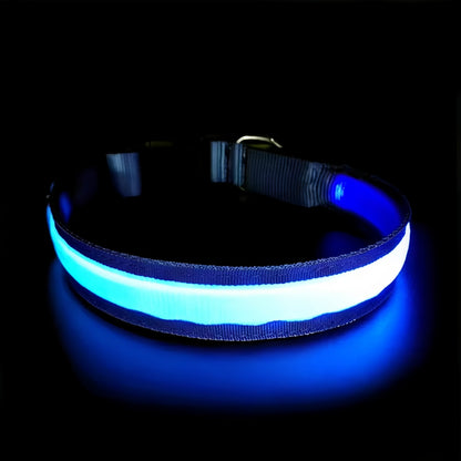 Cozy Critters Pet Store LED illuminated pet safety collar