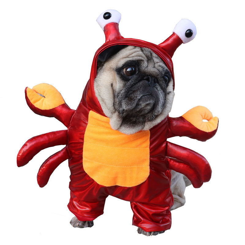 Pet Costume 3D Transformation Outfit