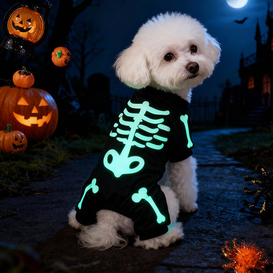 Cozy Critters Pet Store glow-in-the-dark skull and bone Halloween dog costume