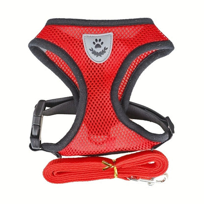 Dog Leash Harness Set
