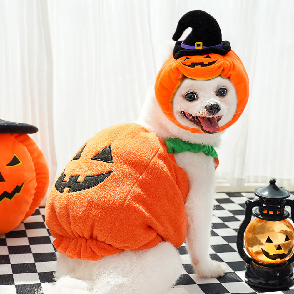 Cozy Critters Pet Store funny pumpkin Halloween pet costume for dogs and cats