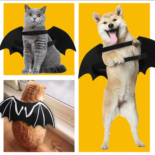 Cozy Critters Pet Store luminous bat wing Halloween pet costume