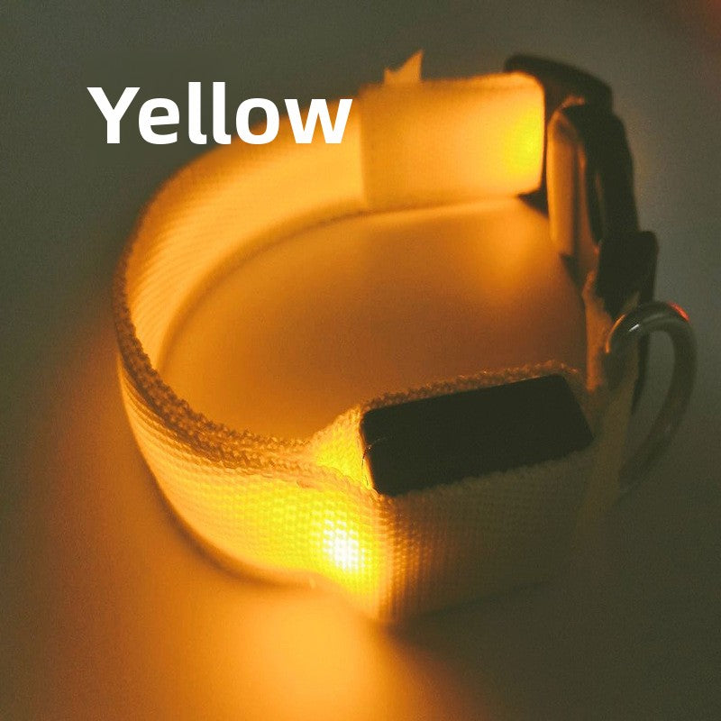 USB Rechargeable Luminous Pet Collar