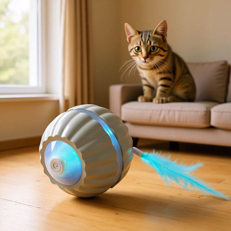 Cozy Critters Pet Store automatic cat toy ball