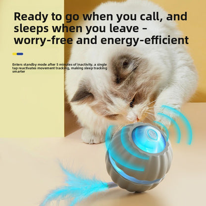 Automatic Cat Toy Ball