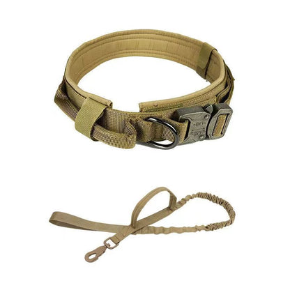 Cozy Critters Pet Store tactical dog collar with metal buckle and matching shock-absorbing bungee leash in tan nylon