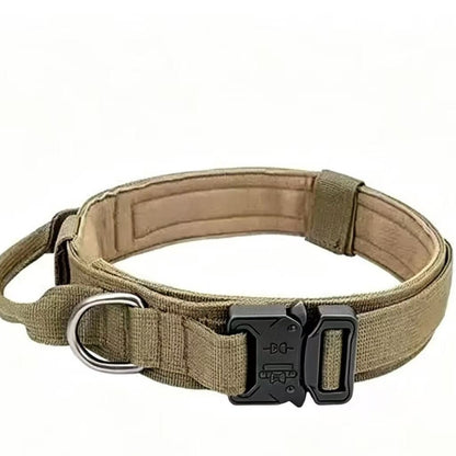 Cozy Critters Pet Store tactical dog collar in olive green nylon with a heavy-duty quick-release metal buckle.