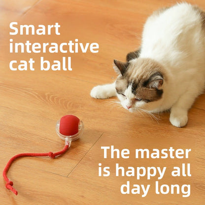 Cozy Critters Pet Store automatic rolling cat toy with sound