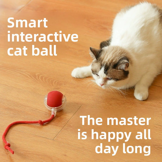 Cozy Critters Pet Store automatic rolling cat toy with sound