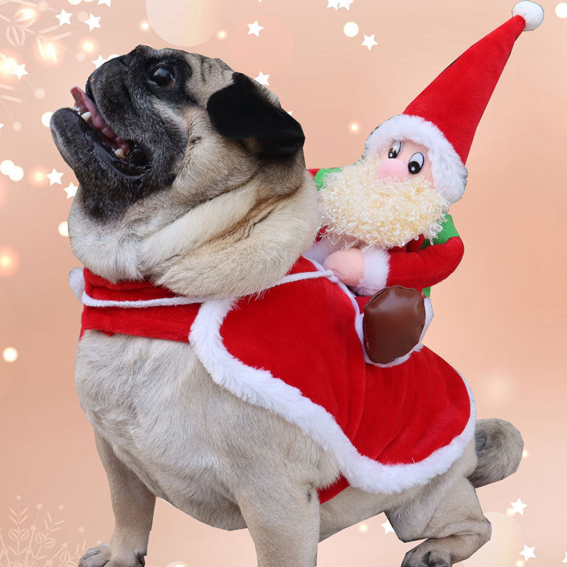 Pet Costume 3D Transformation Outfit