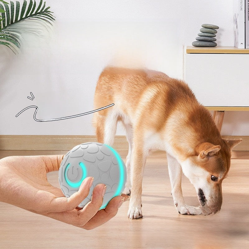 Cozy Critters Pet Store smart electric bouncing ball toy for pets