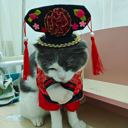 Pet Costume 3D Transformation Outfit