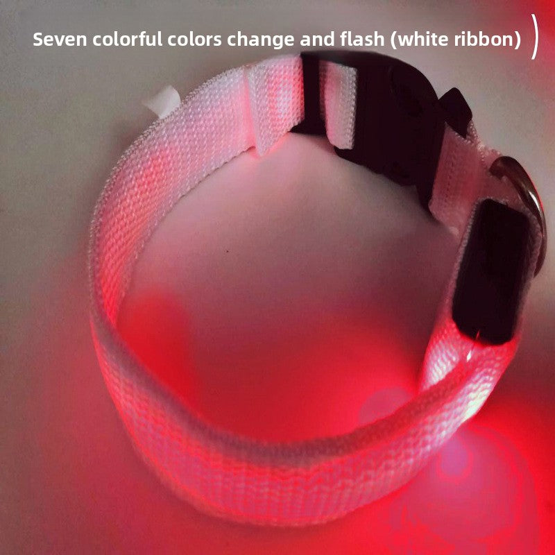 USB Rechargeable Luminous Pet Collar