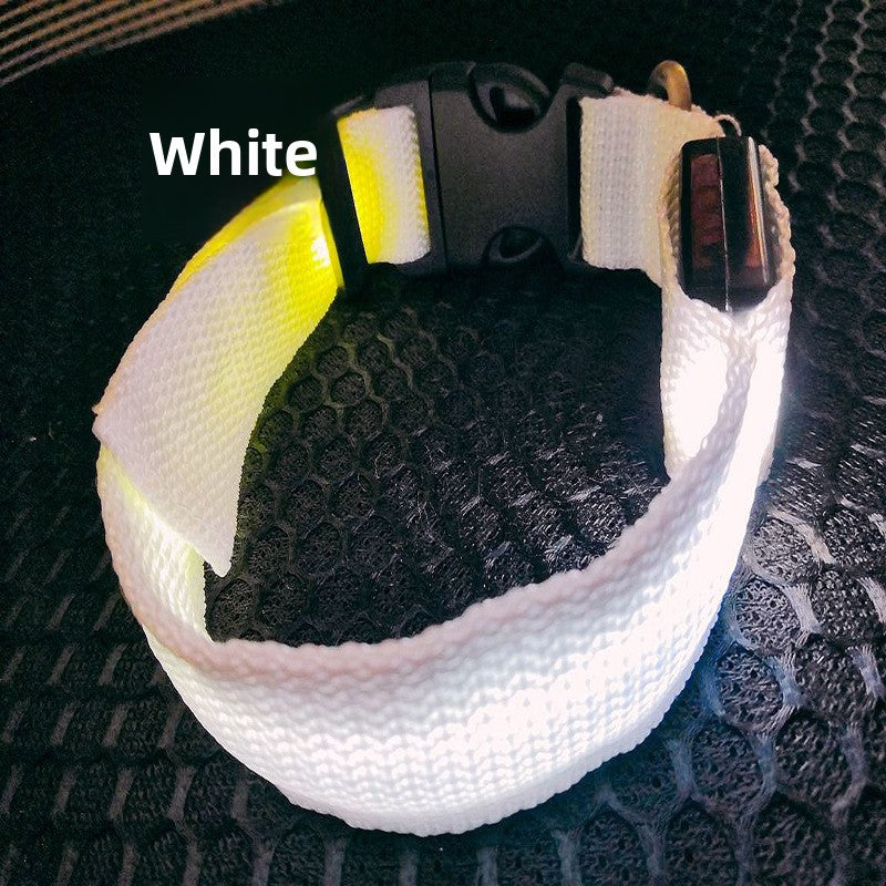 USB Rechargeable Luminous Pet Collar